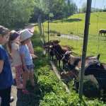phoca_thumb_m_veverky u rybnka 2 Fotogalerie